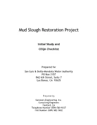 Mud Slough Restoration Project