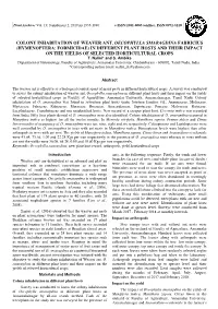 Colony Inhabitation of Weaver Ant