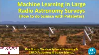 Machine Learning in Large Radio Astronomy Surveys (How to Do Science with Petabytes)