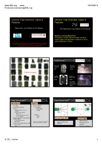Camera Trap Overview, Types & Features Camera Trap