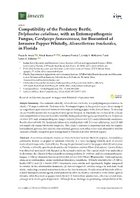 Compatibility of the Predatory Beetle, Delphastus Catalinae, with An