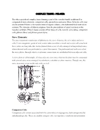 Complex Tissue : Phloem: Sieve Elements