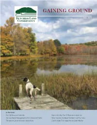 DLC-Fall-2019-Newsletter-Web.Pdf