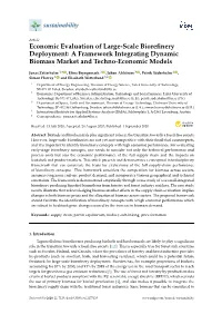 Economic Evaluation of Large-Scale Biorefinery Deployment