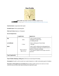 Pest Profile