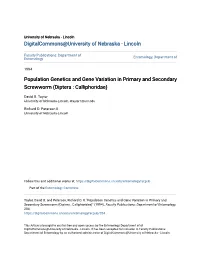 Population Genetics and Gene Variation in Primary and Secondary Screwworm (Diptera : Calliphoridae)