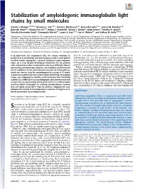 Stabilization of Amyloidogenic Immunoglobulin Light Chains by Small Molecules