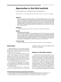 Approaches to the Third Ventricle