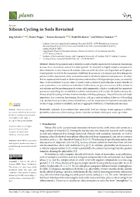 Silicon Cycling in Soils Revisited