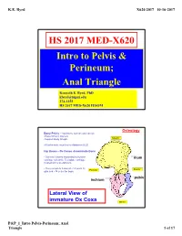 HS 2017 MED-X620 Intro to Pelvis & Perineum; Anal Triangle