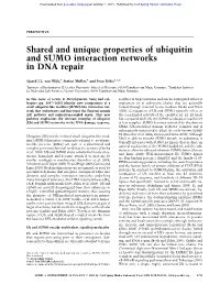 Shared and Unique Properties of Ubiquitin and SUMO Interaction Networks in DNA Repair