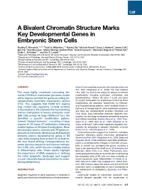 A Bivalent Chromatin Structure Marks Key Developmental Genes in Embryonic Stem Cells
