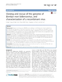 Cloning and Rescue of the Genome of Bombyx Mori Bidensovirus, And