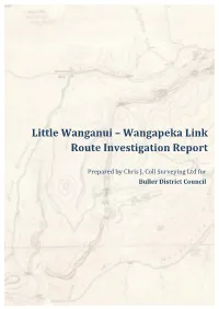 Little Wanganui – Wangapeka Link Route Investigation Report