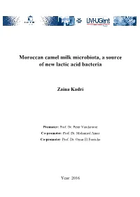 Moroccan Camel Milk Microbiota, a Source of New Lactic Acid Bacteria