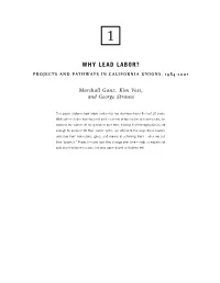 Why Lead Labor?