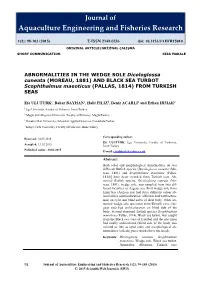 ABNORMALITIES in the WEDGE SOLE Dicologlossa Cuneata (MOREAU, 1881) and BLACK SEA TURBOT Scophthalmus Maeoticus (PALLAS, 1814) from TURKISH SEAS