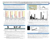 Ecology and Genetic Analysis of Katablepharis CRE, A