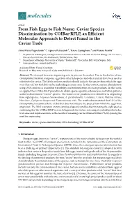 From Fish Eggs to Fish Name: Caviar Species Discrimination by Coibar-RFLP, an Eﬃcient Molecular Approach to Detect Fraud in the Caviar Trade