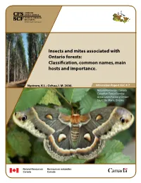 Insects and Mites Associated with Ontario Forests: Classification, Common Names, Main Hosts and Importance