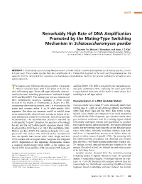 Remarkably High Rate of DNA Amplification Promoted by the Mating-Type Switching Mechanism in Schizosaccharomyces Pombe