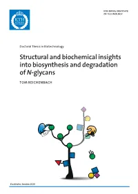 Structural and Biochemical Insights Into Biosynthesis and Degradation of and Degradation Into Insights Biosynthesis and Biochemical Structural