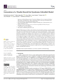 Generation of a Triadin Knockout Syndrome Zebrafish Model