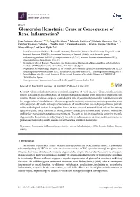Glomerular Hematuria: Cause Or Consequence of Renal Inﬂammation?