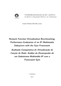 Network Function Virtualization Benchmarking: Performance Evaluation of an IP Multimedia Subsystem with the Gym Framework Avalia