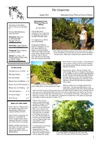 Subtropical Trees Thrive in Frost at Monto