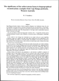 Adec Preview Generated PDF File