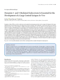 Dynamin 1- and 3-Mediated Endocytosis Is Essential for the Development of a Large Central Synapse in Vivo