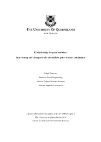 Functioning and Changes in the Streamflow Generation of Catchments
