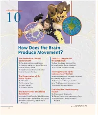 How Does the Brain Produce Movement?