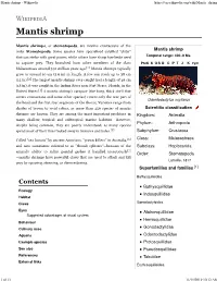 Mantis Shrimp - Wikipedia