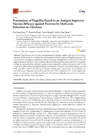 N-Terminus of Flagellin Fused to an Antigen Improves Vaccine Efficacy Against Pasteurella Multocida Infection in Chickens