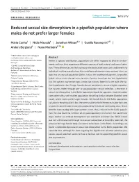 Reduced Sexual Size Dimorphism in a Pipefish Population Where Males Do Not Prefer Larger Females