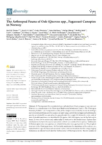 The Arthropod Fauna of Oak (Quercus Spp., Fagaceae) Canopies in Norway