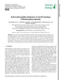 Active Anti-Predator Behaviour of Red Titi Monkeys (Plecturocebus Cupreus)
