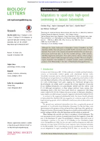 Adaptations to Squid-Style High-Speed Swimming in Jurassic