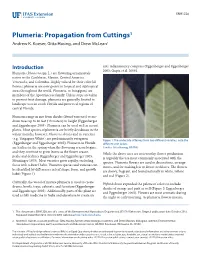Plumeria: Propagation from Cuttings1 Andrew K