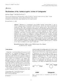 Review Mechanisms of the Antinociceptive Action of Gabapentin