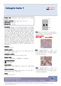 Integrin Beta 1 Cat#: ET1601-17