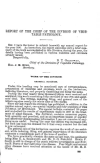 REPORT of Tile HIEF of the DIVISION of VEGE