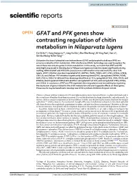 GFAT and PFK Genes Show Contrasting Regulation of Chitin