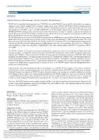 UCSD MOLECULE PAGES Doi:10.6072/H0.MP.A002549.01 Volume 1, Issue 2, 2012 Copyright UC Press, All Rights Reserved