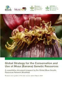 Banana) Genetic Resources a Consultative Document Prepared by the Global Musa Genetic Resources Network (Musanet)