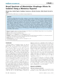 Broad Spectrum of Mimiviridae Virophage Allows Its Isolation Using a Mimivirus Reporter