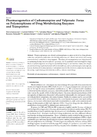 Pharmacogenetics of Carbamazepine and Valproate: Focus on Polymorphisms of Drug Metabolizing Enzymes and Transporters