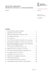 Reporting Guidelines Payments Statistics – Other Reporters